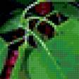 Предпросмотр схемы вышивки «№359740»