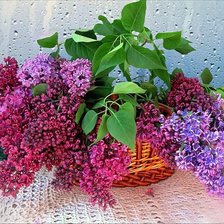 Схема вышивки «№359740»