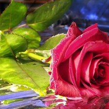 Схема вышивки «№359747»