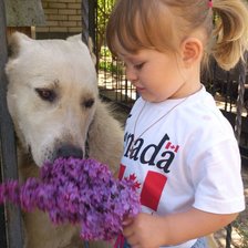 Схема вышивки «Анюта»