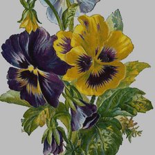 Схема вышивки «анютины глазки»