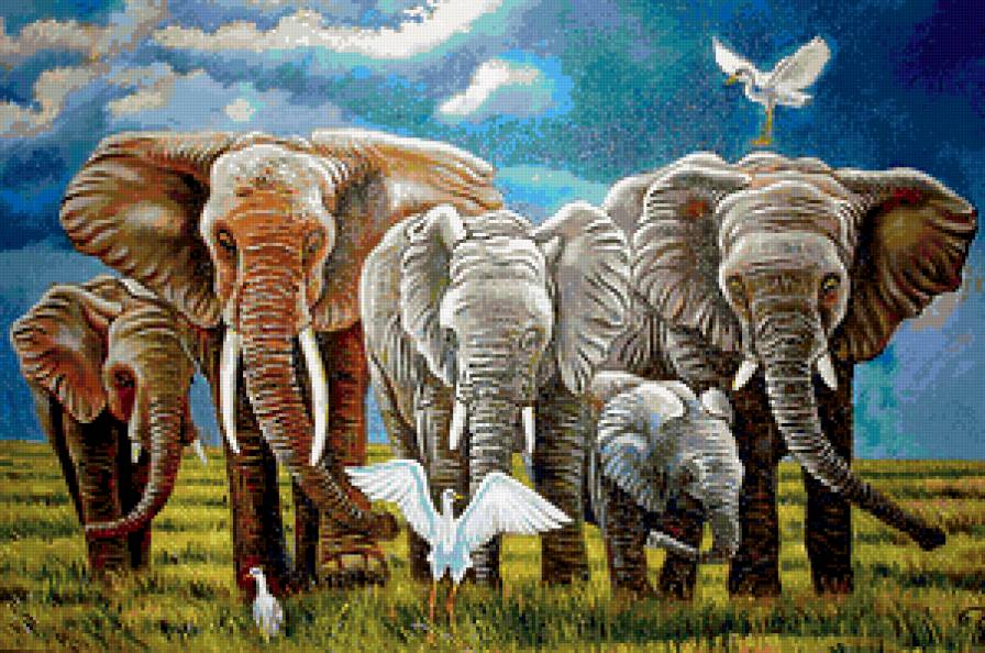 Слоны в саванне - животные, птицы, слоны, саванна - предпросмотр