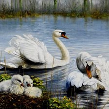 Схема вышивки «лебеди на озере»