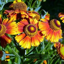 Схема вышивки «№360092»