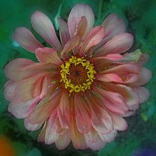 Схема вышивки «№360100»