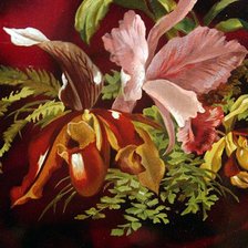 Схема вышивки «императорский цветок»