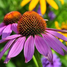 Схема вышивки «№360110»