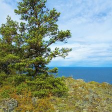 Схема вышивки «№360111»