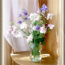 Схема вышивки «№360113»