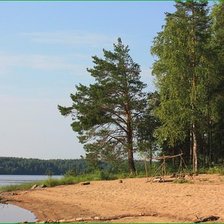 Схема вышивки «берег»