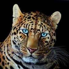 Схема вышивки «№360190»