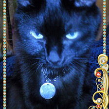 Схема вышивки «боня 6»