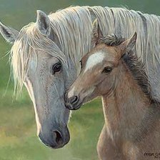 Схема вышивки «№360245»