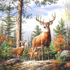 Схема вышивки «№360257»