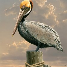 Схема вышивки «№360261»