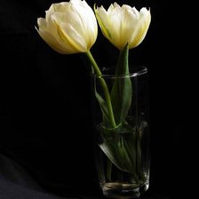 Схема вышивки «тюльпаны»