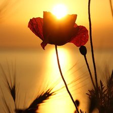 Схема вышивки «в лучах заходящего солнца»