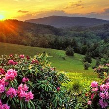 Схема вышивки «Природа»