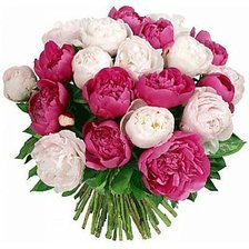 Схема вышивки «№360326»