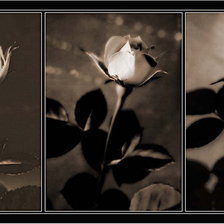 Схема вышивки «№360328»