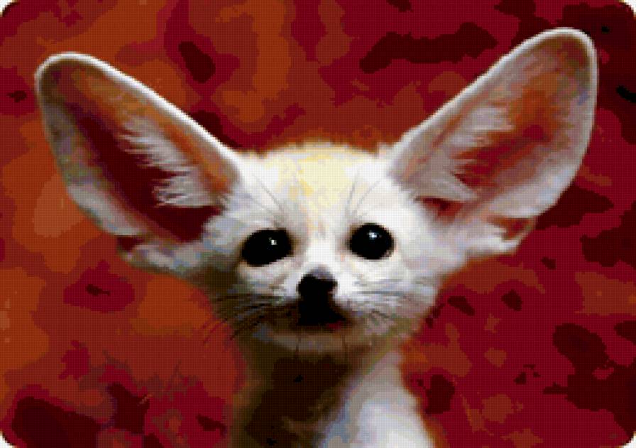 Всё слышу)) - лисичка фенек - предпросмотр