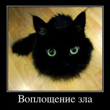 Схема вышивки «Котик»