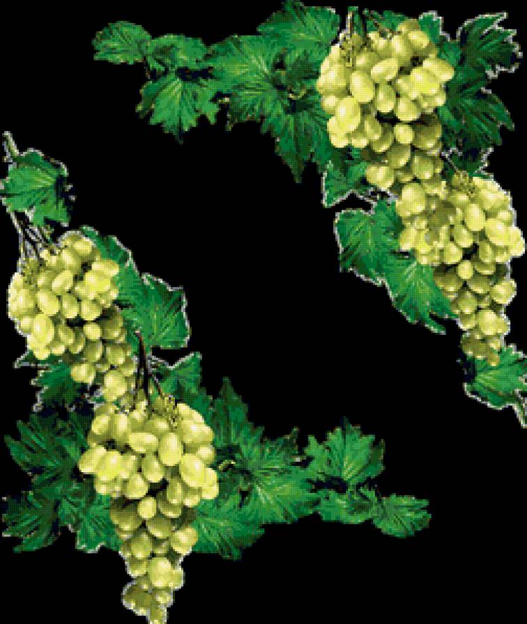 №360531 - подушка, виноград, скатерть, уголок, узор, салфетка - предпросмотр