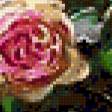 Предпросмотр схемы вышивки «розы-300» (№360588)