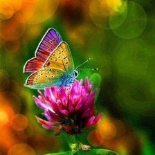 Схема вышивки «бабочка»