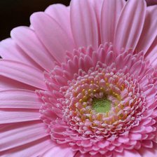 Схема вышивки «№360781»