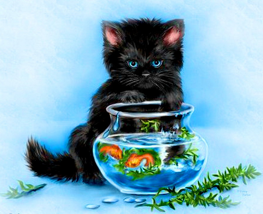 котенок и рыбки - аквариум, кот, рыба - оригинал