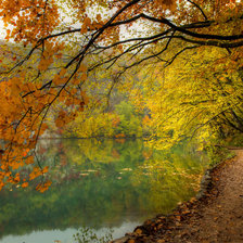 Схема вышивки «осень»