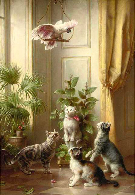 кошки и какаду - кошки, какду - оригинал