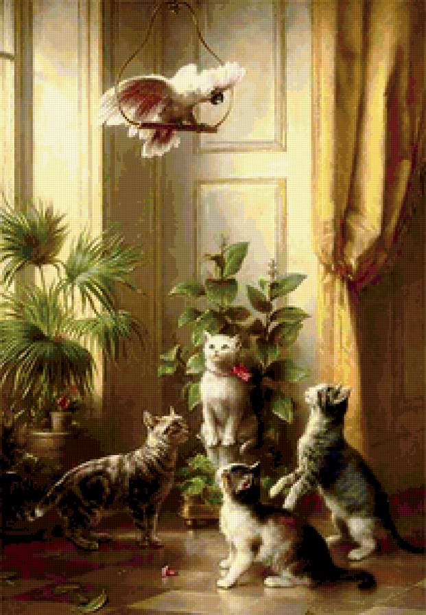 кошки и какаду - кошки, какду - предпросмотр