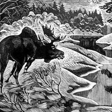 Схема вышивки «Дикий лес»