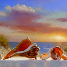 Схема вышивки «ракушки на море»