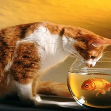 Схема вышивки «кошка»