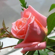 Схема вышивки «№361237»