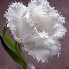 Схема вышивки «№361241»