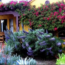 Схема вышивки «цветы»