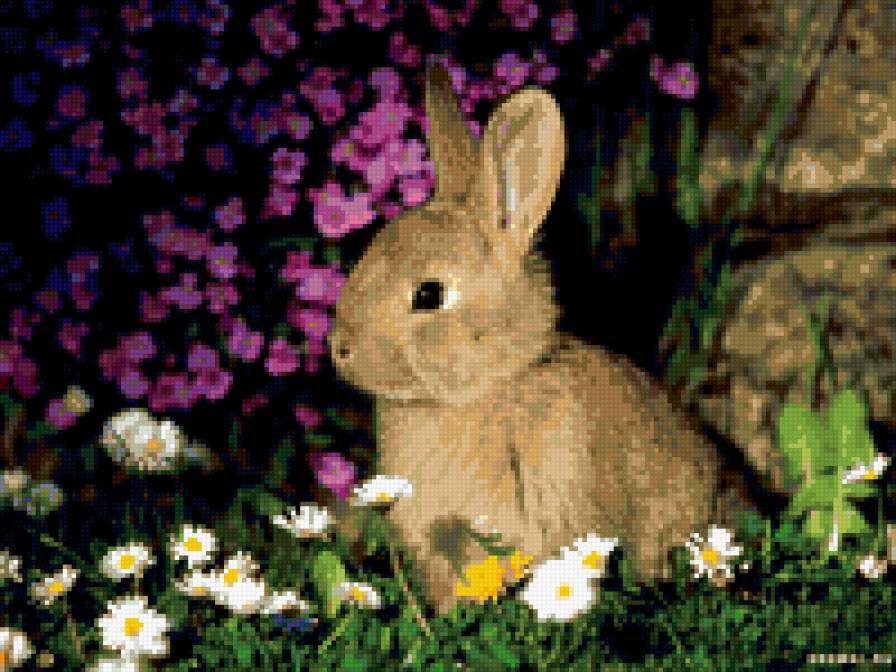 зайчик - животные - предпросмотр