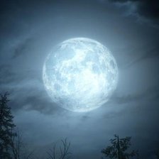 Схема вышивки «Волчье время»