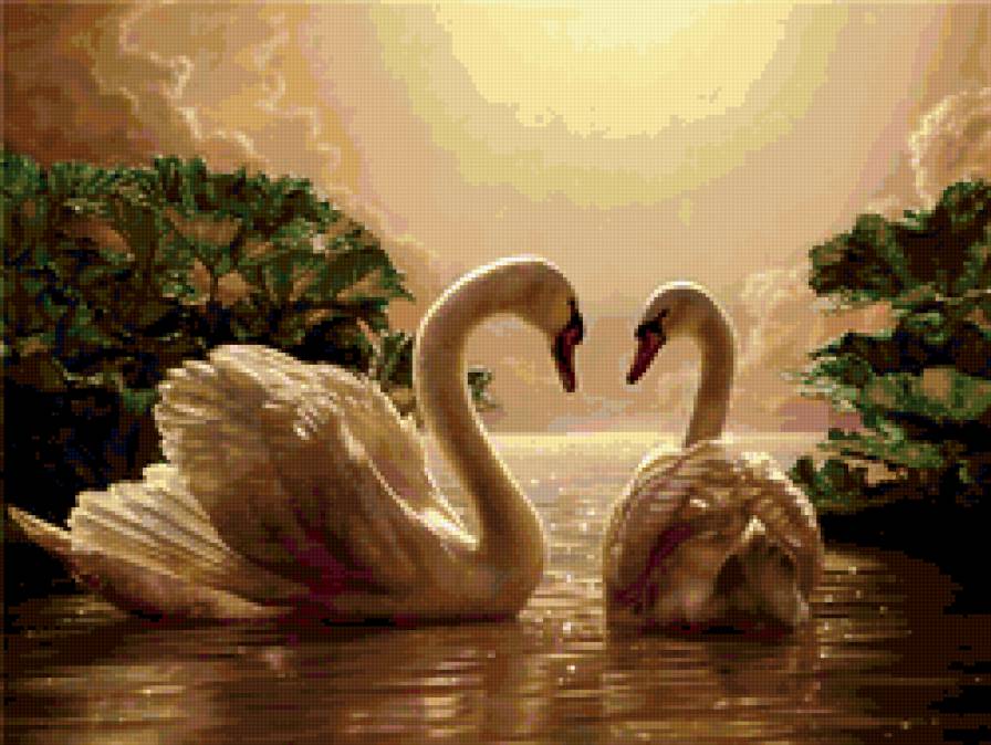 лебеди на пруду - природа, парк, пруд, пейзаж, озеро - предпросмотр