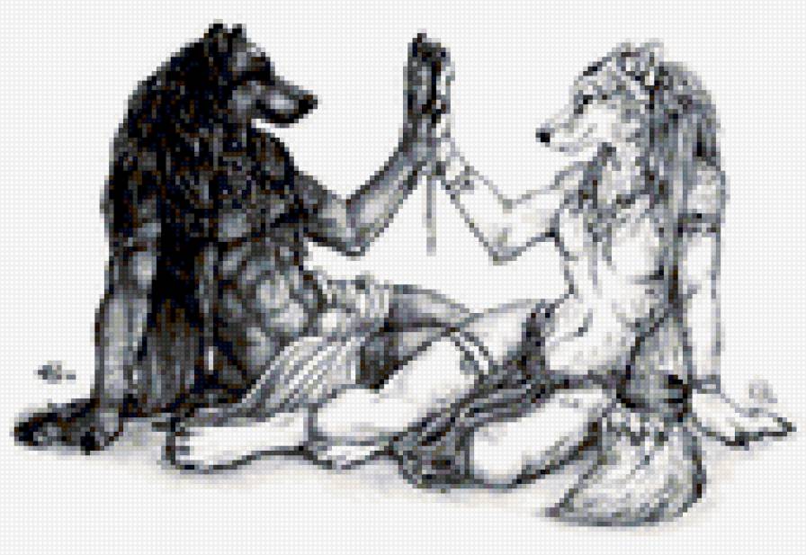 пара волков - предпросмотр