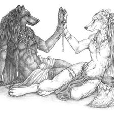 пара волков