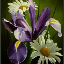 Схема вышивки «серия "цветы"»