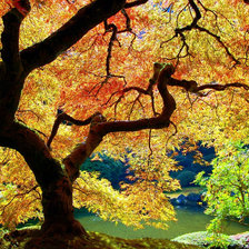 Схема вышивки «осень»