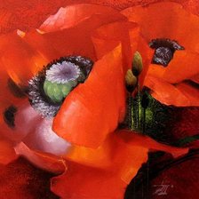 Схема вышивки «маки»