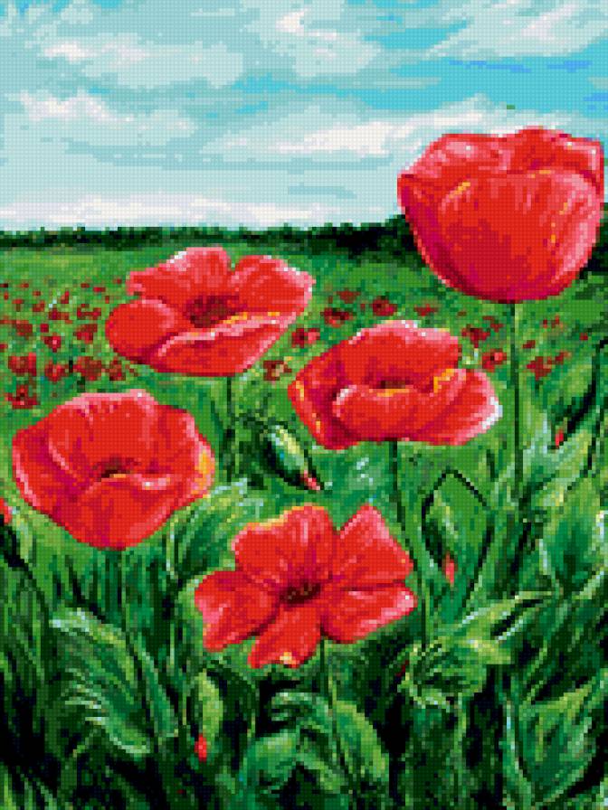 маковое поле - цветы - предпросмотр