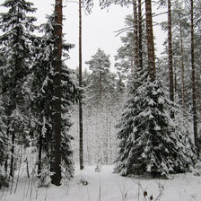 Схема вышивки «зима»